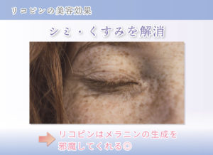 リコピンの美容効果 シミ・くすみを解消 リコピンはメラニンの生成を邪魔してくれる◎