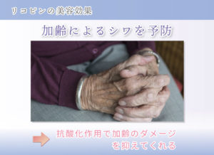 リコピンの美容効果 加齢によるシワを予防 抗酸化作用で加齢のダメージを抑えてくれる