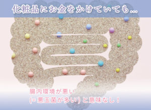 化粧品にお金をかけていても… 腸内環境が悪い (=悪玉菌が多い)と意味なし!