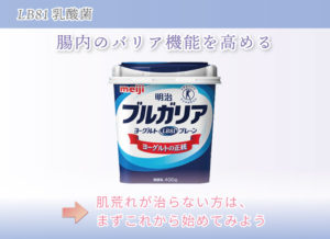 LB81乳酸菌 腸内のバリア機能を高める 肌荒れが治らない方は、まずこれから始めてみよう